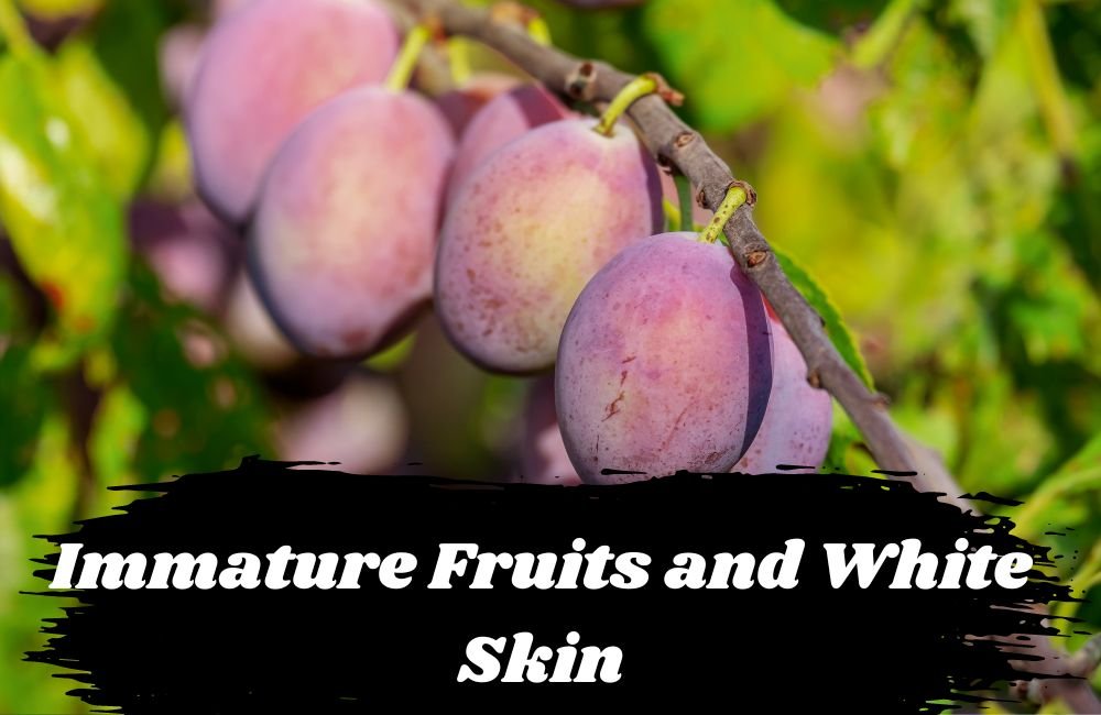 Immature Fruits and White Skin: Tips and Botanical Insights Inside
