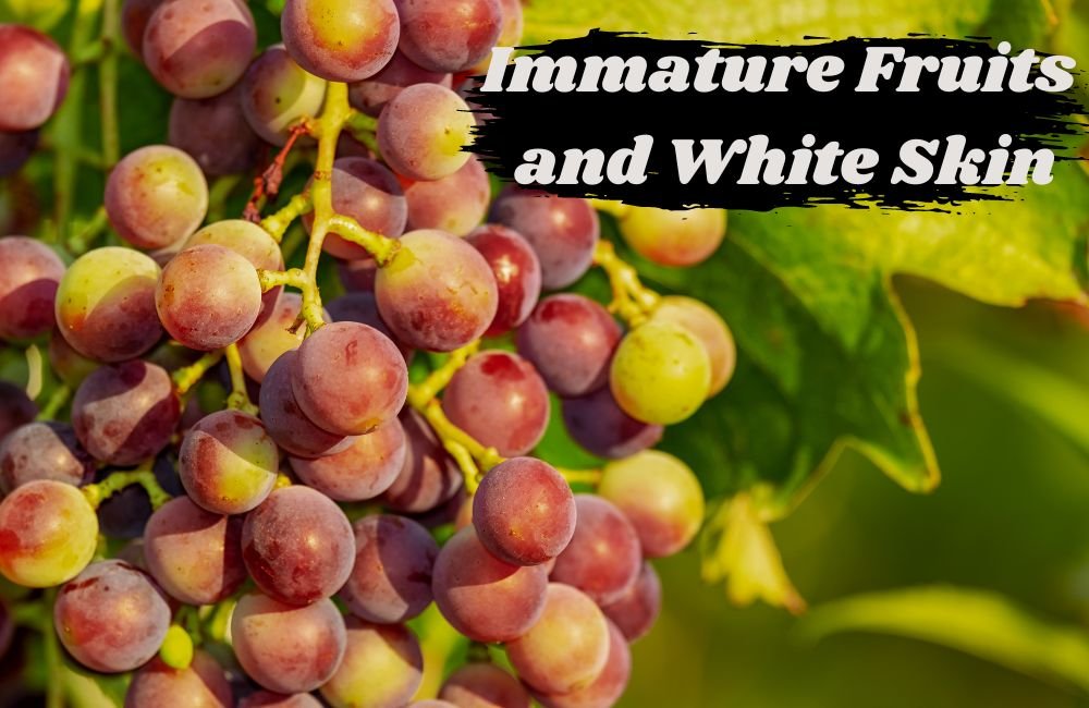 Immature Fruits and White Skin: Tips and Botanical Insights Inside
